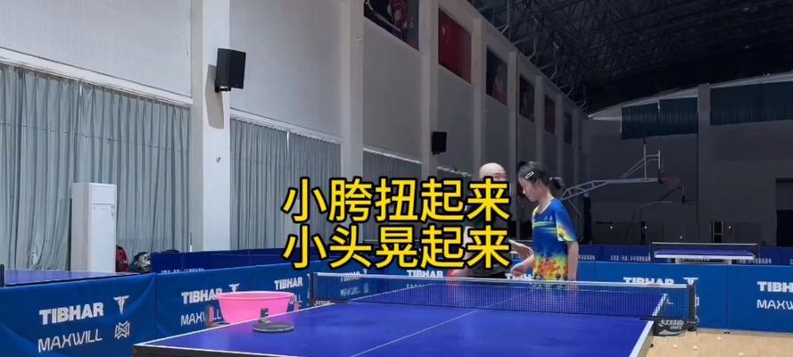 乒乓球长胶训练秘籍（技巧、方法和训练计划，助你成为长胶高手）