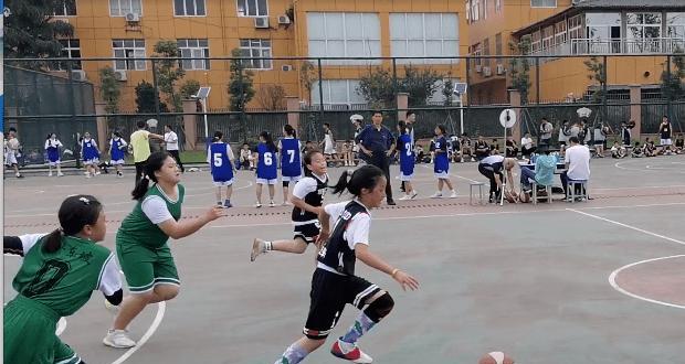 小学乒乓球篮球要求（培养小学生的球技与团队合作精神，助力健康成长）
