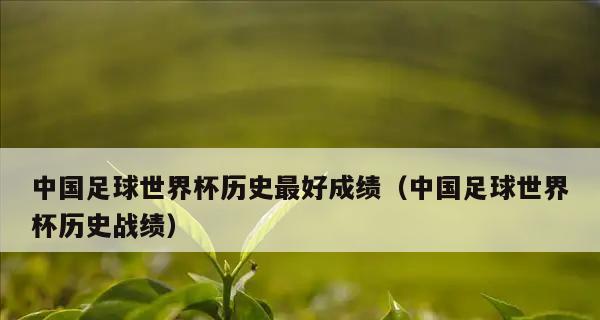 中国在世界杯历史上的最佳排名及其意义（探寻中国足球在世界杯中的突破之路）