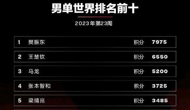 乒乓球历史混双排名（混双历史回顾）