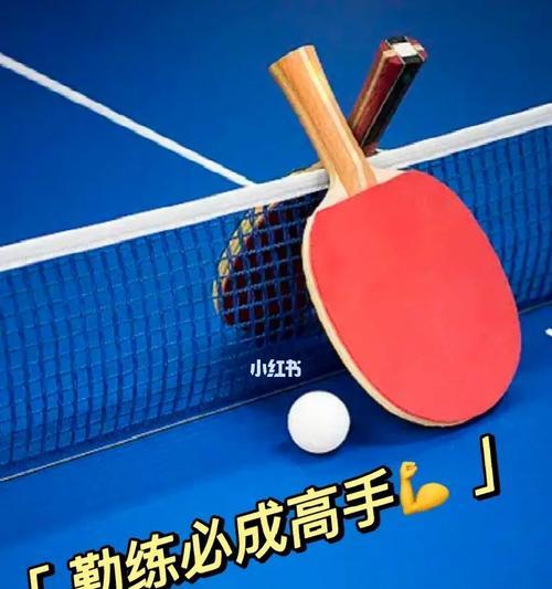 乒乓球辅助练习小技巧（从基本功到高级技巧，助你成为乒乓球达人）