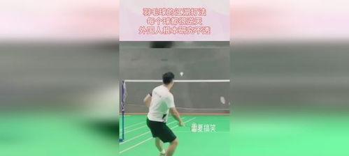 羽毛球各种球的打法,基础技巧与战术解析