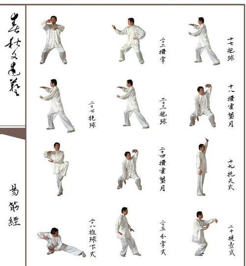 八极拳整套拳法有哪些,八极拳拳法体系概览