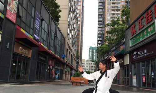 武当太极极拳有哪些套路,武当太极拳套路概览