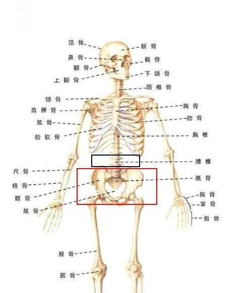 太极拳为什么要松腰胯,核心要义与修炼之道