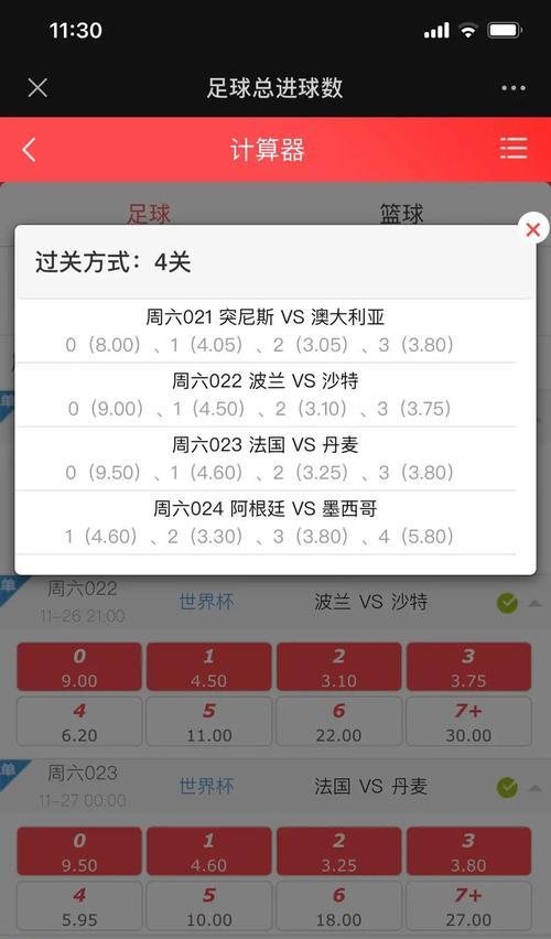 创世界杯历史进球纪录的巅峰表演（冠军里贝里创造了突破的世界杯进球纪录）
